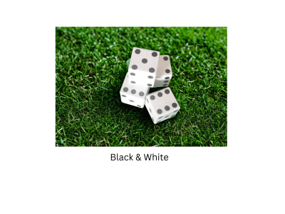 Set of 2 -Big Backyard Wooden Dice