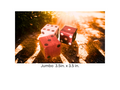 Set of 2 -Big Backyard Wooden Dice